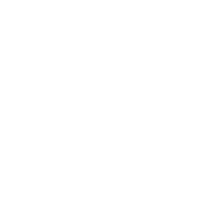spinner